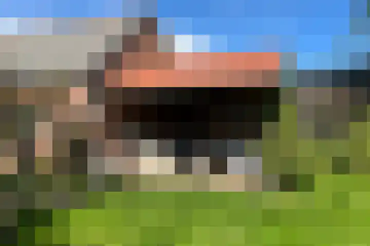Roggestraat 69 Den Ham thumbnail 18