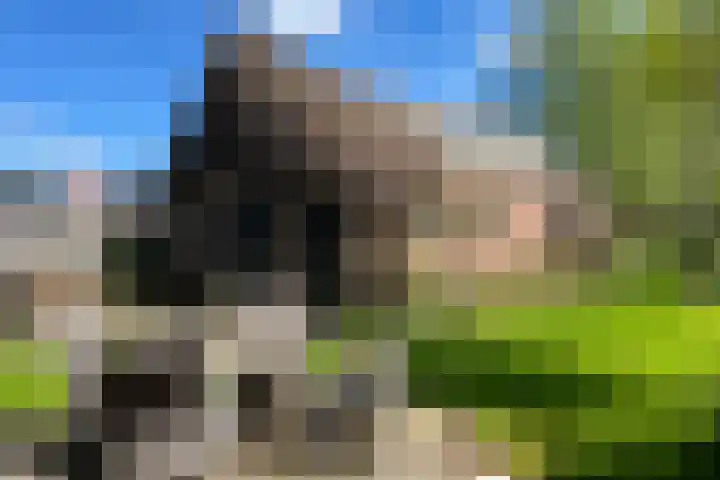 Roggestraat 69 Den Ham thumbnail 22
