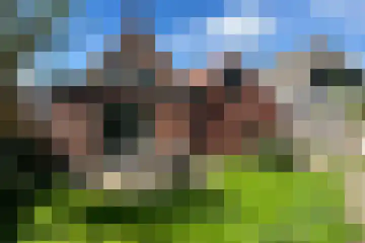 Roggestraat 69 Den Ham thumbnail 24