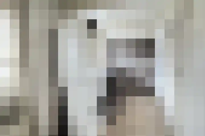 Roggestraat 69 Den Ham thumbnail 34