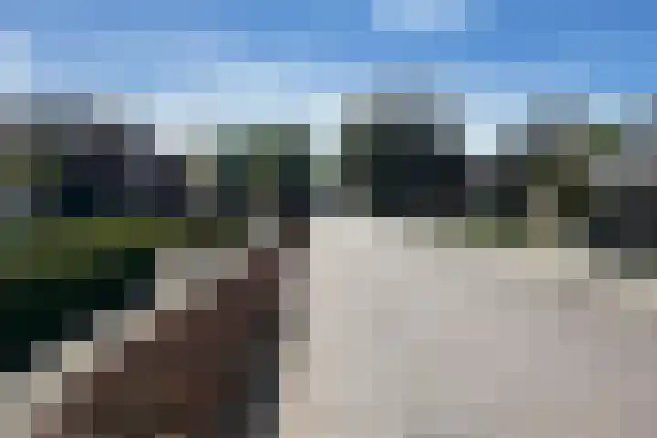 Roggestraat 69 Den Ham thumbnail 5
