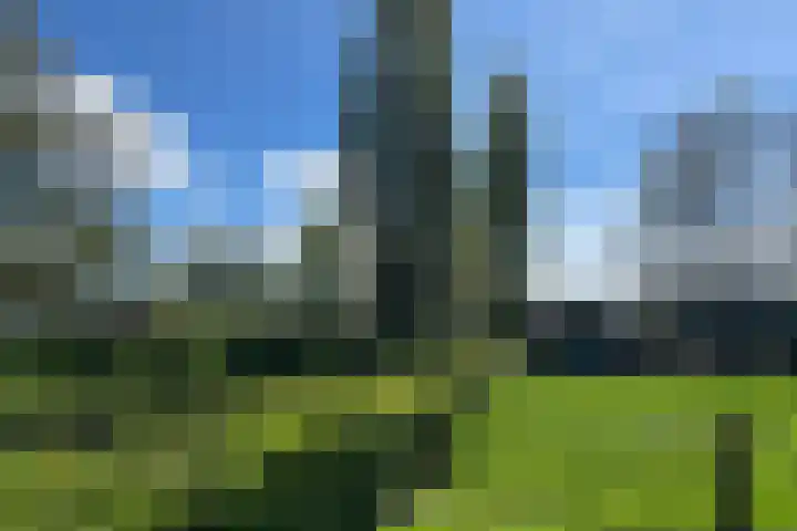 Roggestraat 69 Den Ham thumbnail 8