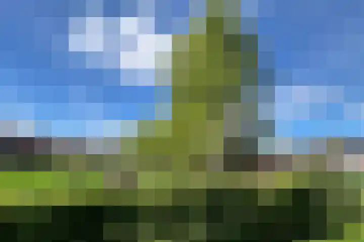 Roggestraat 69 Den Ham thumbnail 9