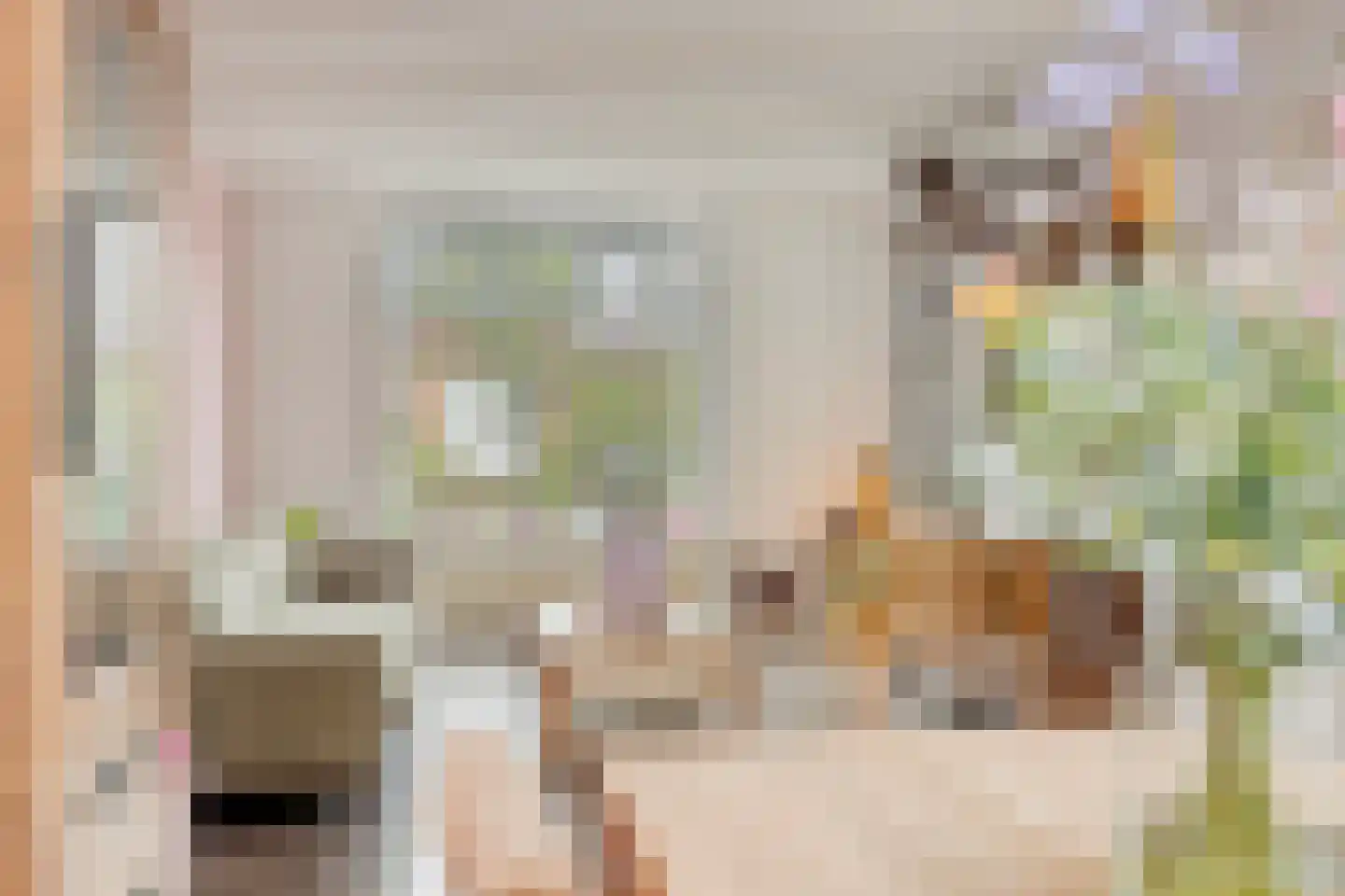 Roggestraat 7 Halle thumbnail 11