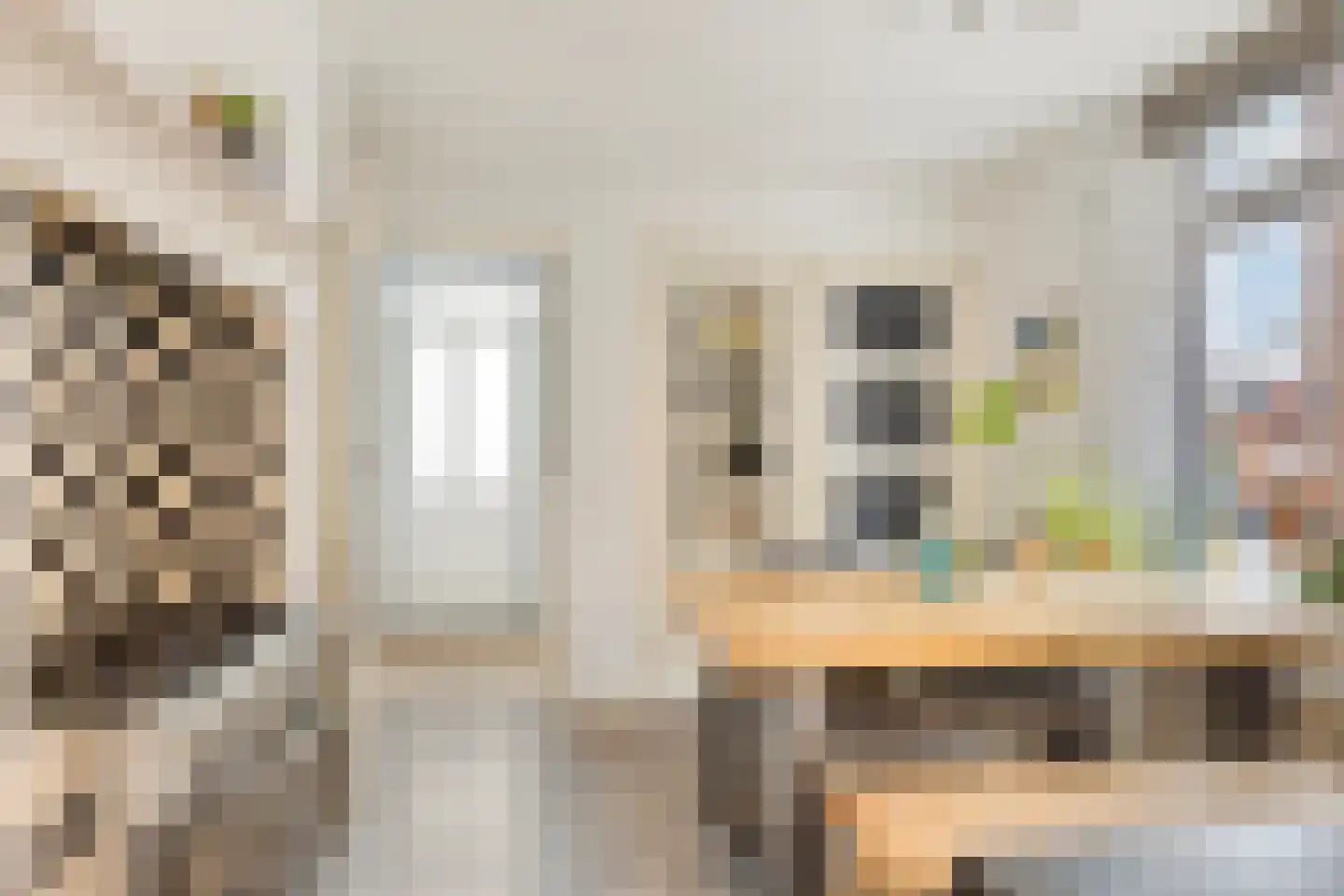 Roggestraat 7 Halle thumbnail 14