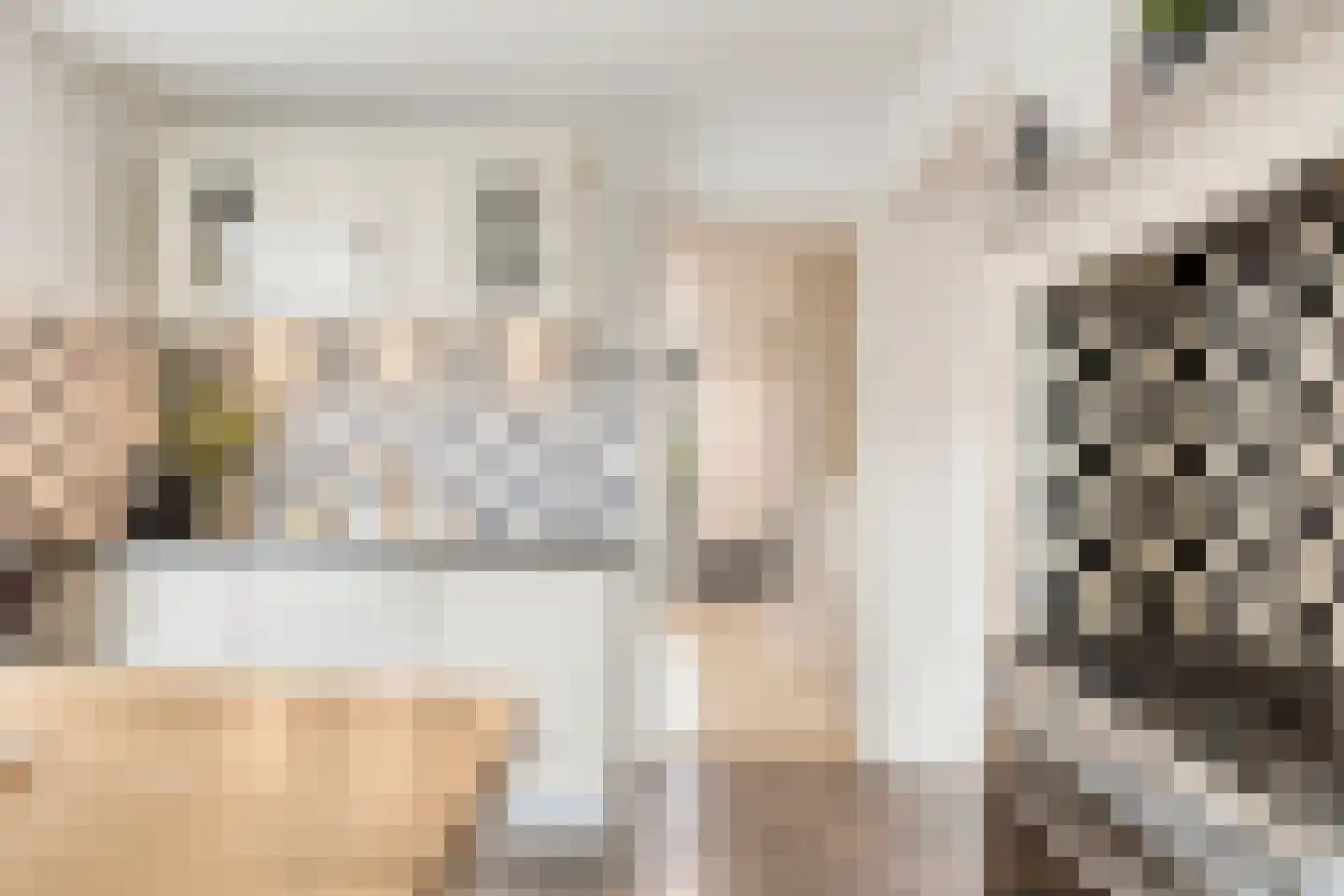 Roggestraat 7 Halle thumbnail 15