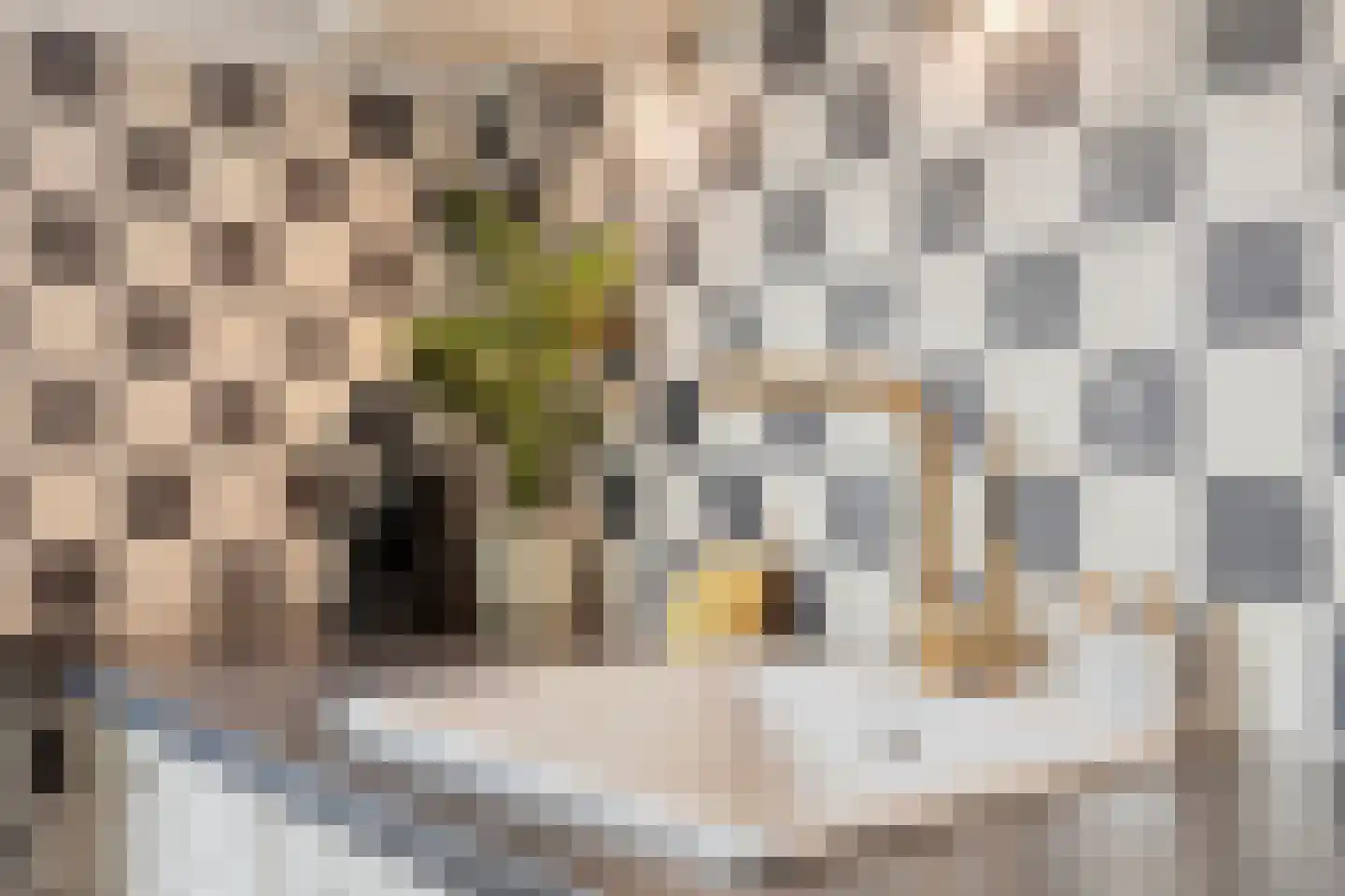 Roggestraat 7 Halle thumbnail 18