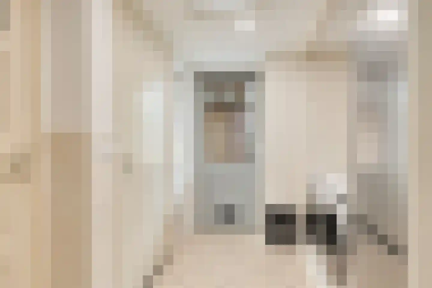 Roggestraat 7 Halle thumbnail 19