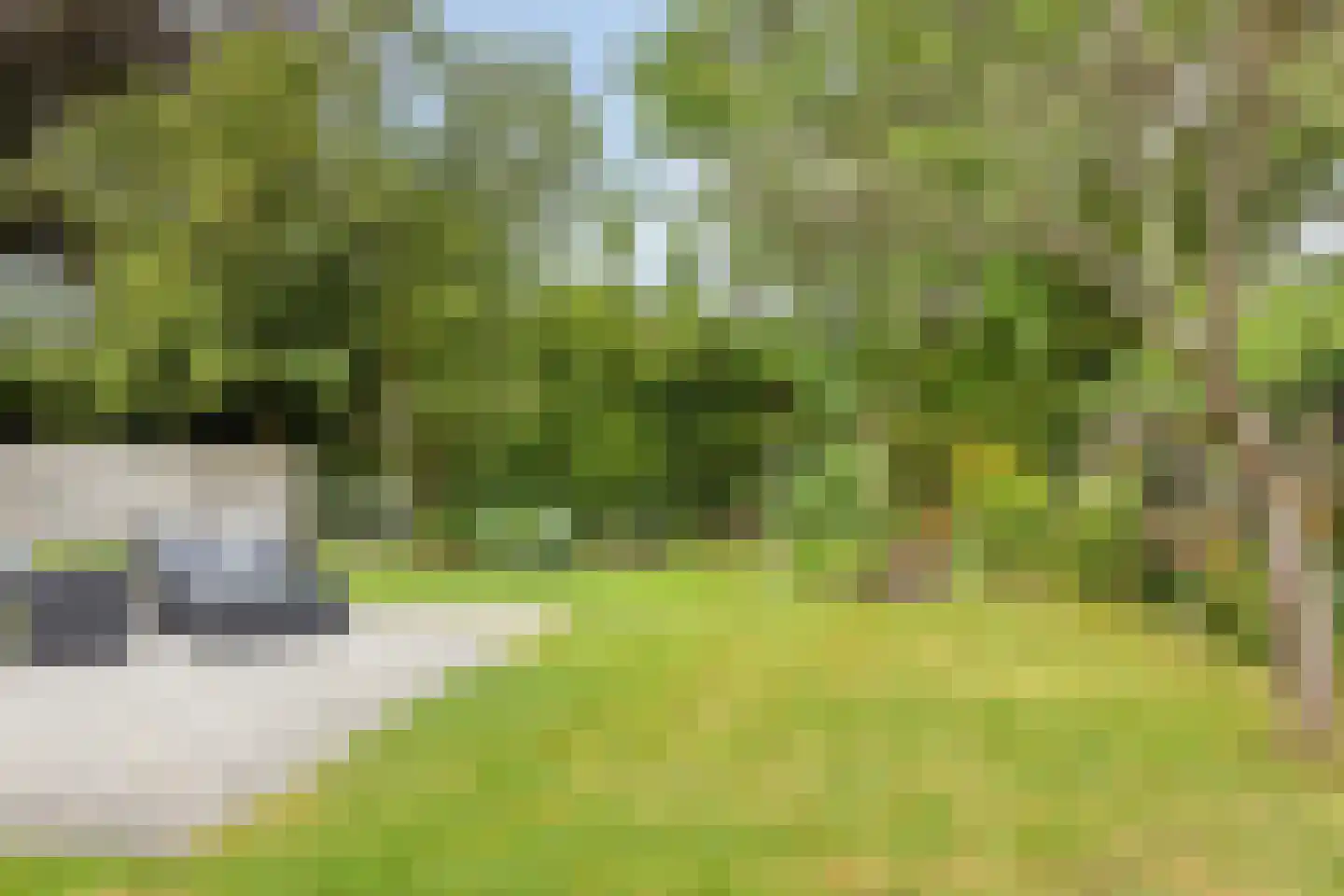 Roggestraat 7 Halle thumbnail 31