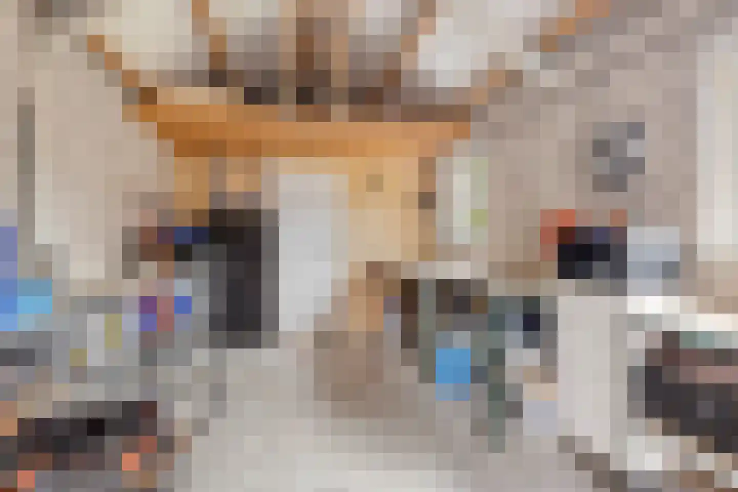 Roggestraat 7 Halle thumbnail 33