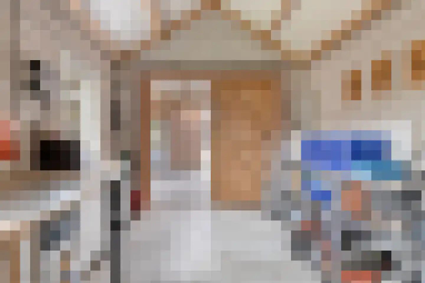 Roggestraat 7 Halle thumbnail 34
