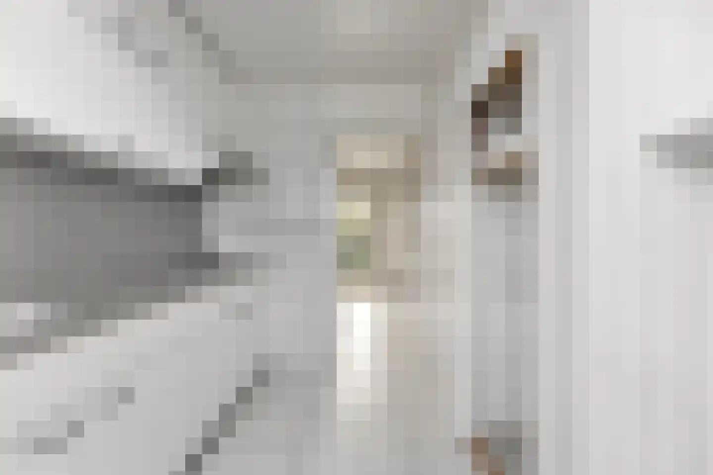 Roggestraat 9 Ridderkerk thumbnail 14