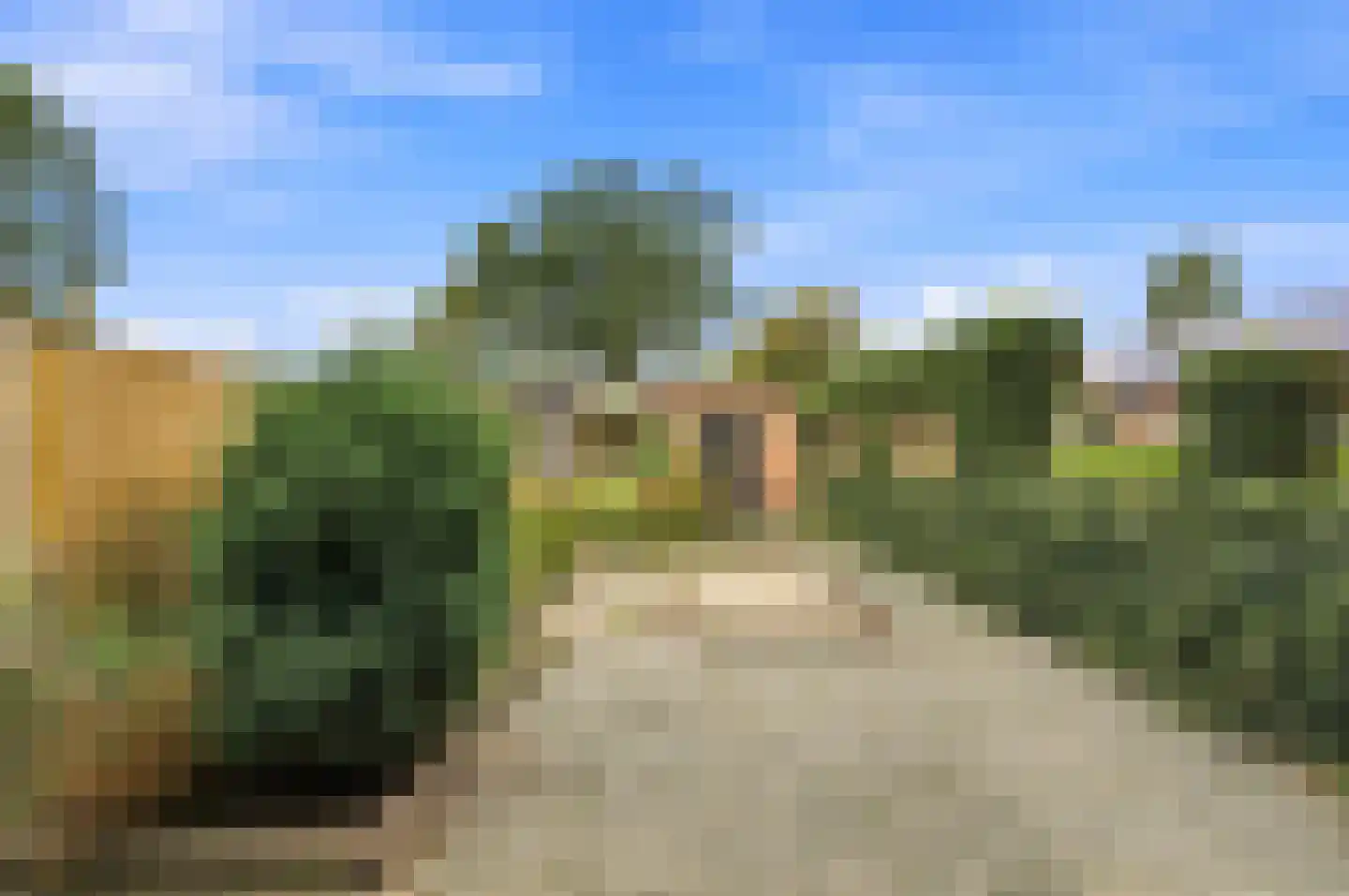 Roggestraat 9 Ridderkerk thumbnail 29