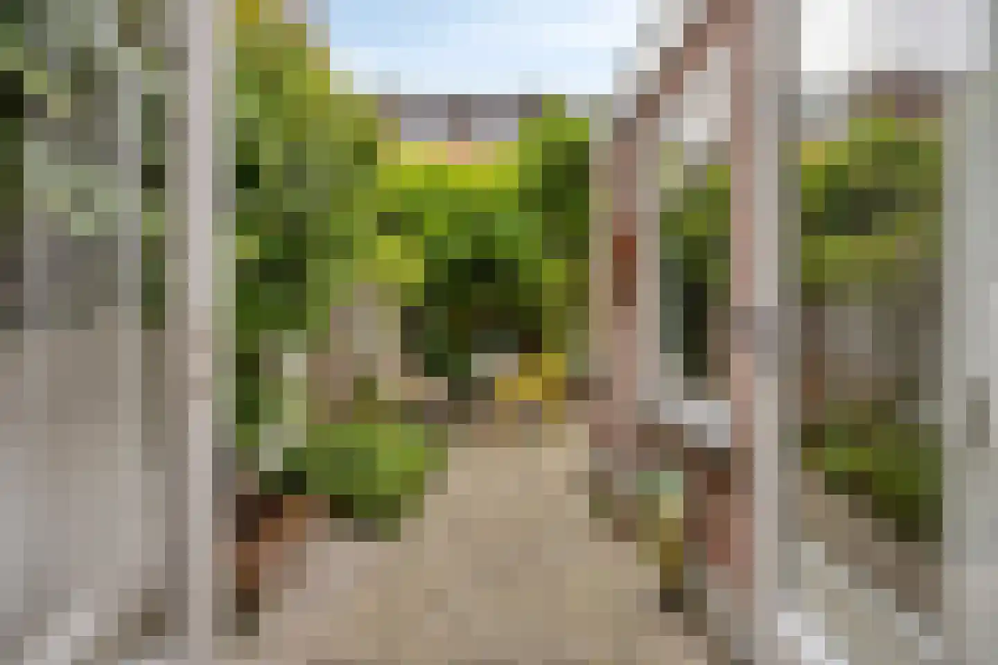 Roggestraat 9 Utrecht thumbnail 10