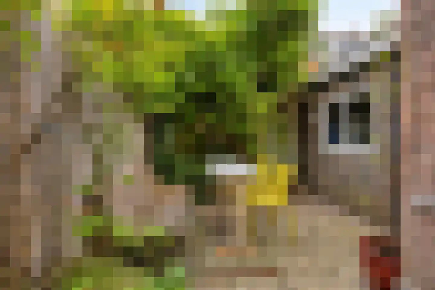 Roggestraat 9 Utrecht thumbnail 11