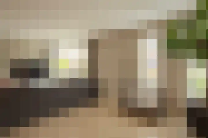 Roggestraat 91 Putten thumbnail 4