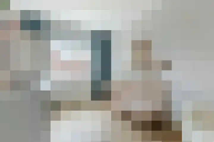 Roggestro 12 Uden thumbnail 13