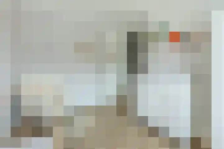 Roggestro 12 Uden thumbnail 14