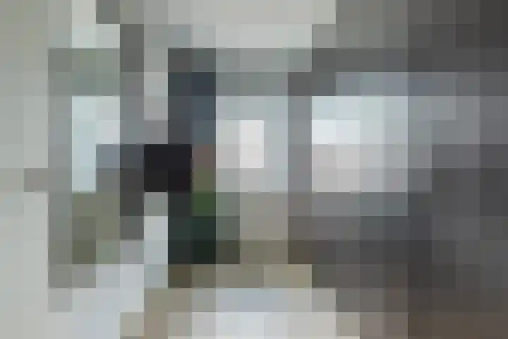 Roggestro 12 Uden thumbnail 17