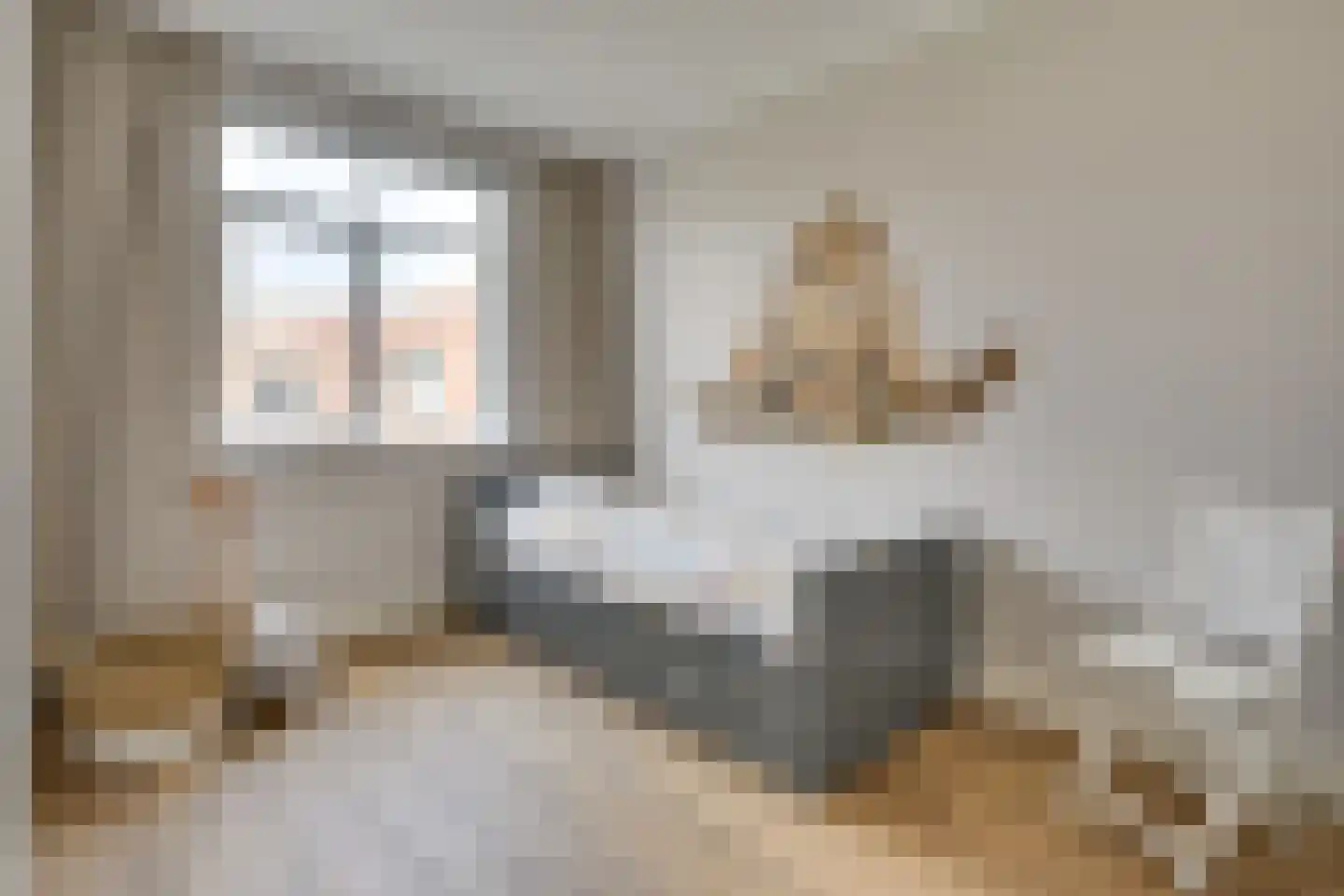 Roggestro 12 Uden thumbnail 18