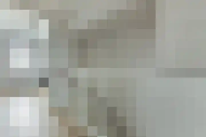 Roggestro 12 Uden thumbnail 21