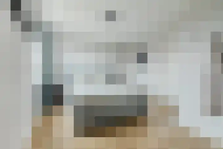 Roggestro 12 Uden thumbnail 24