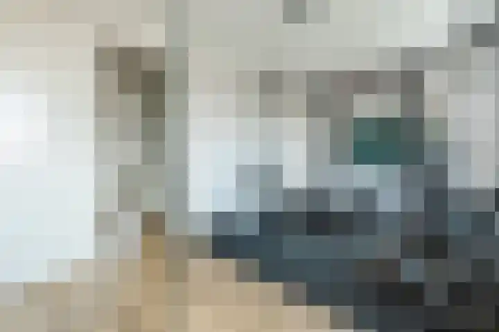 Roggestro 12 Uden thumbnail 27