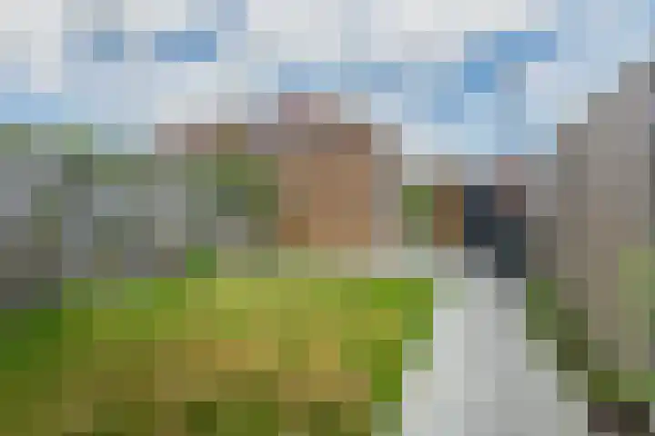 Roggestro 12 Uden thumbnail 31