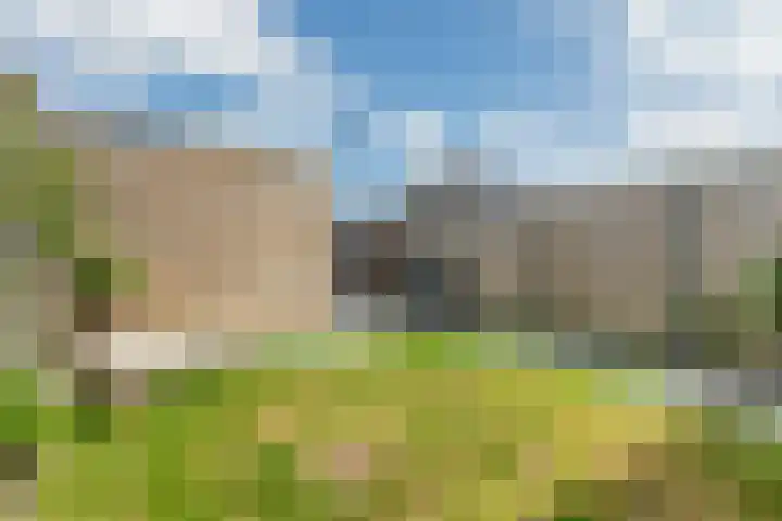 Roggestro 12 Uden thumbnail 32