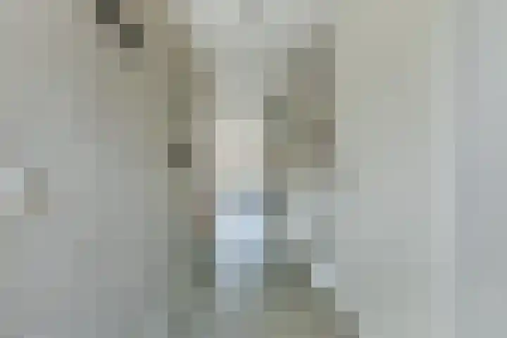 Roggestro 12 Uden thumbnail 4