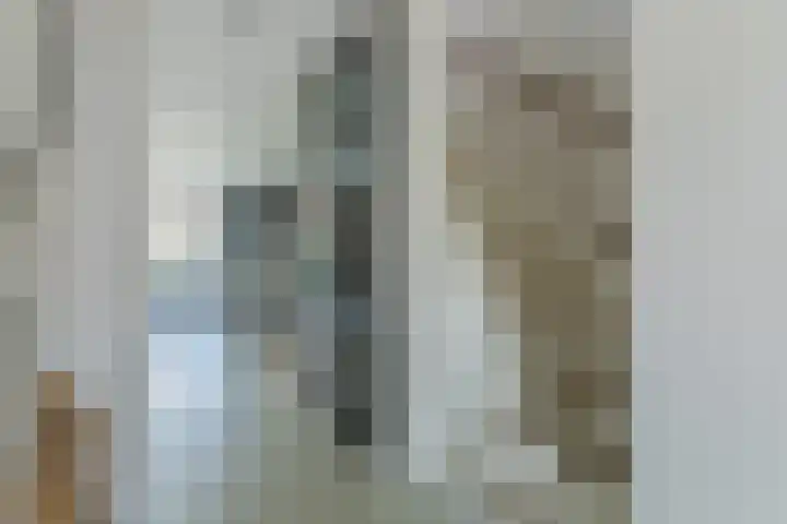 Roggestro 12 Uden thumbnail 6
