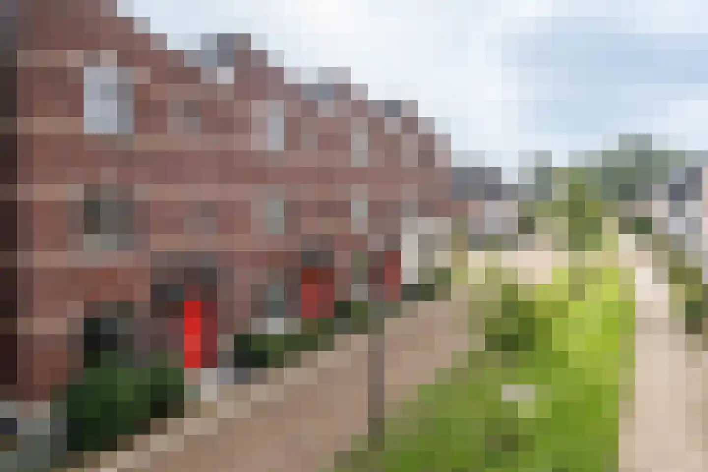 Roggestro 12 Uden thumbnail 8