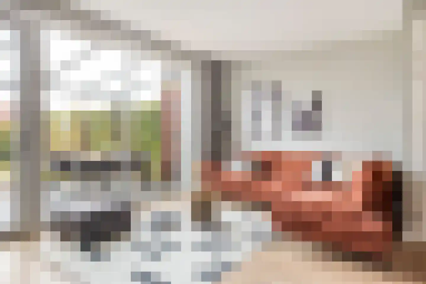 Roggestro 16 Uden thumbnail 12