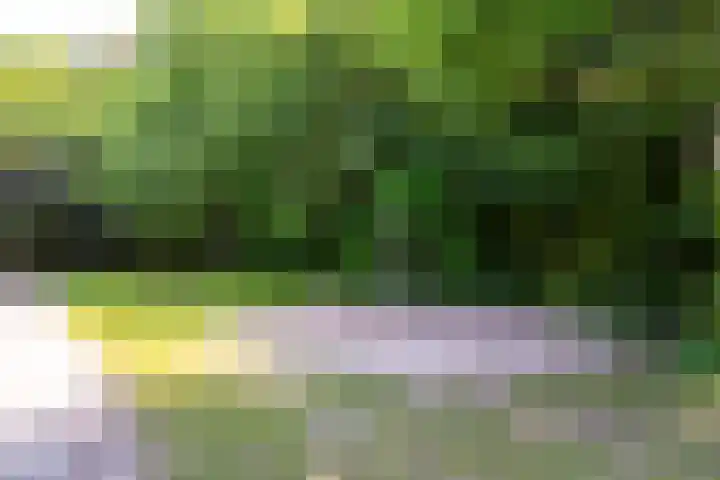 Roggestro 16 Uden thumbnail 16