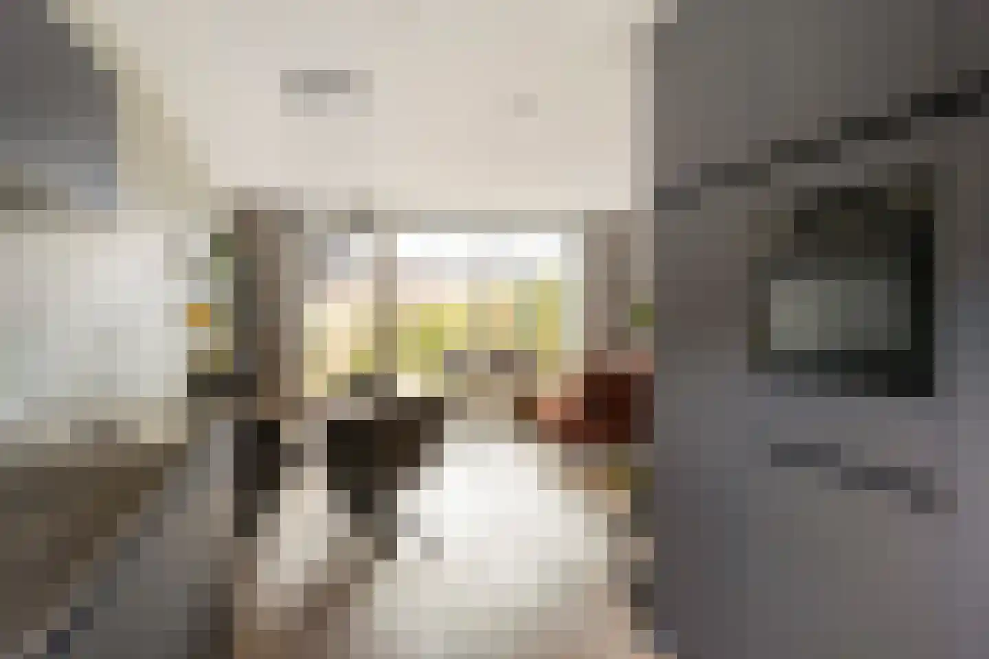 Roggestro 16 Uden thumbnail 17