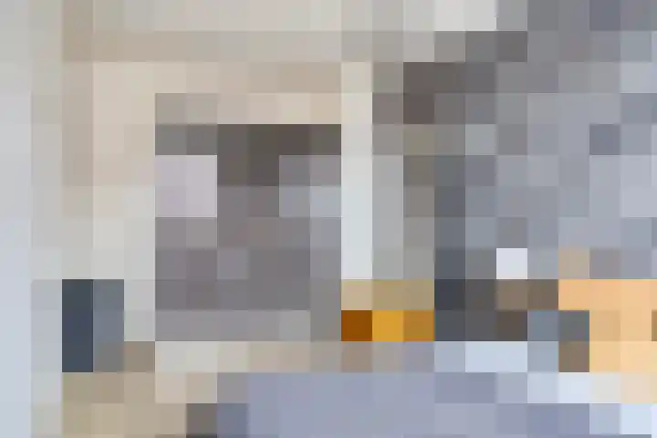 Roggestro 16 Uden thumbnail 20