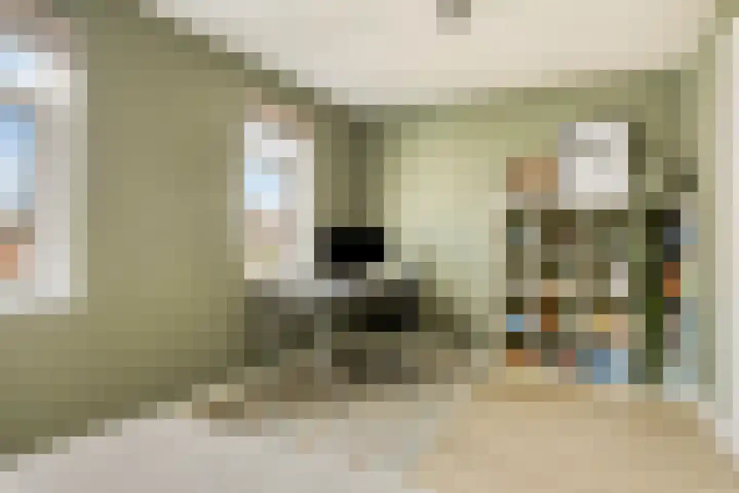 Roggestro 16 Uden thumbnail 28
