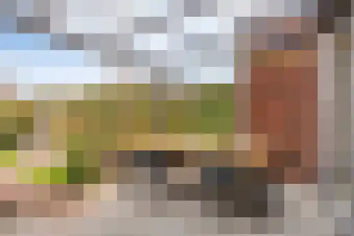 Roggestro 16 Uden thumbnail 34