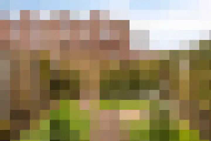 Roggestro 16 Uden thumbnail 36