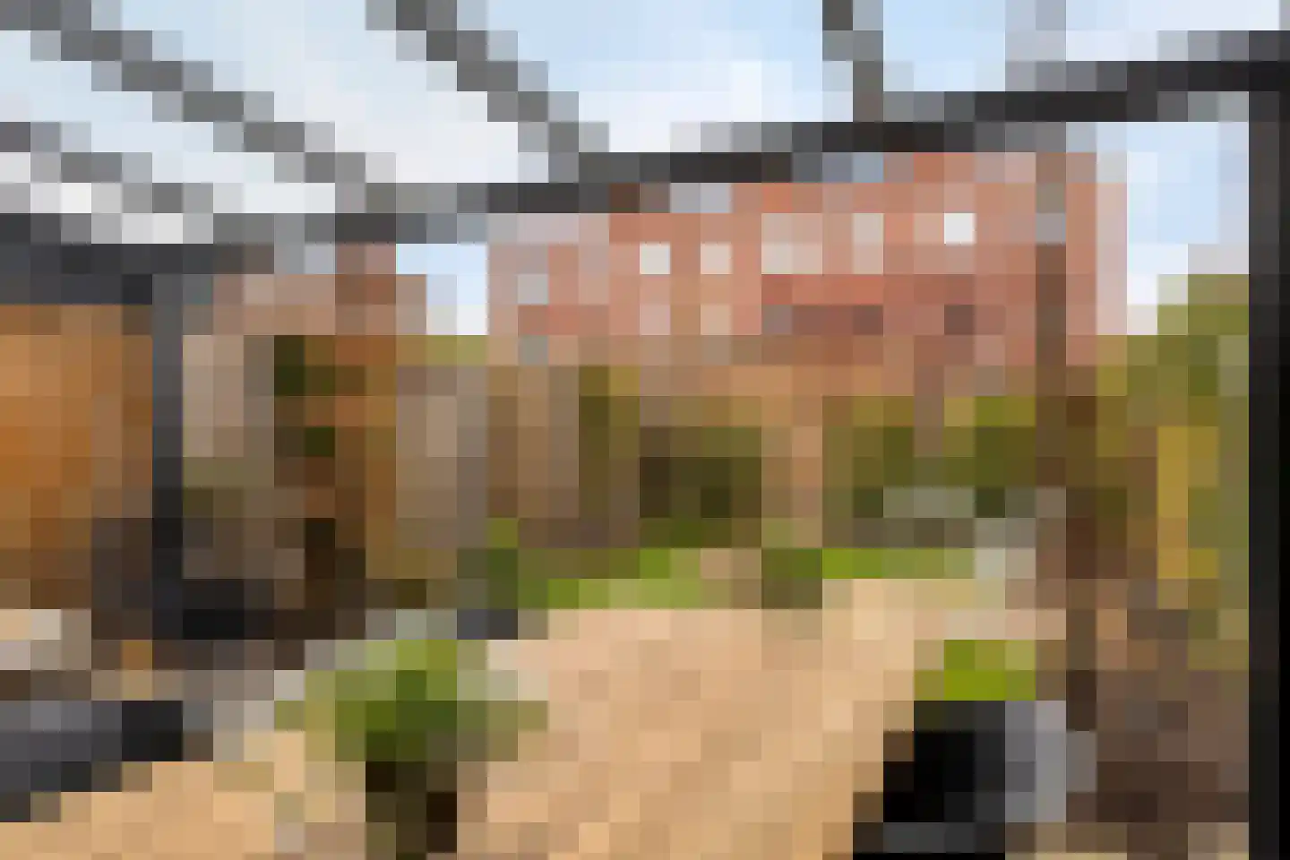 Roggestro 16 Uden thumbnail 4