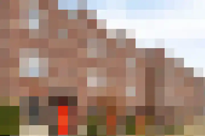 Roggestro 16 Uden thumbnail 41