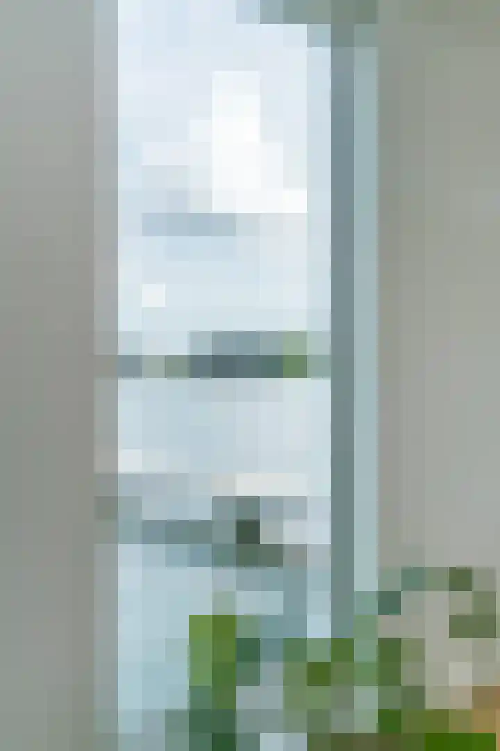 Roggestro 6 Uden thumbnail 10