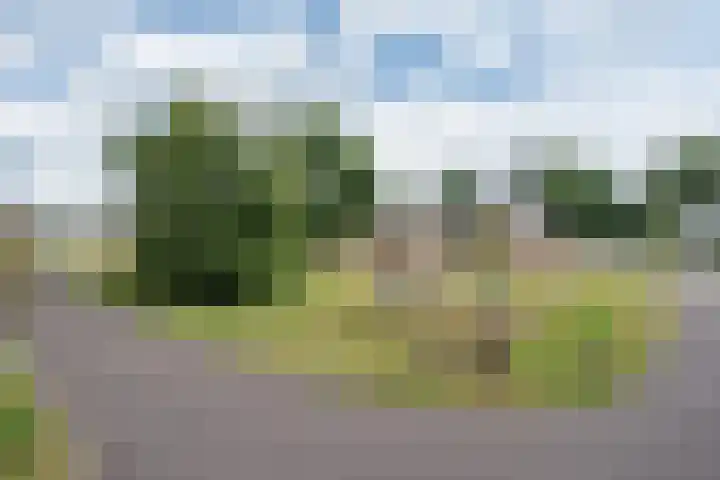 Roggestro 6 Uden foto 2