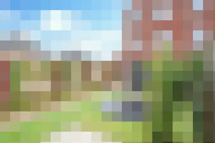 Roggestro 6 Uden thumbnail 24