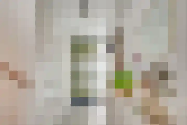 Roggestro 6 Uden thumbnail 5