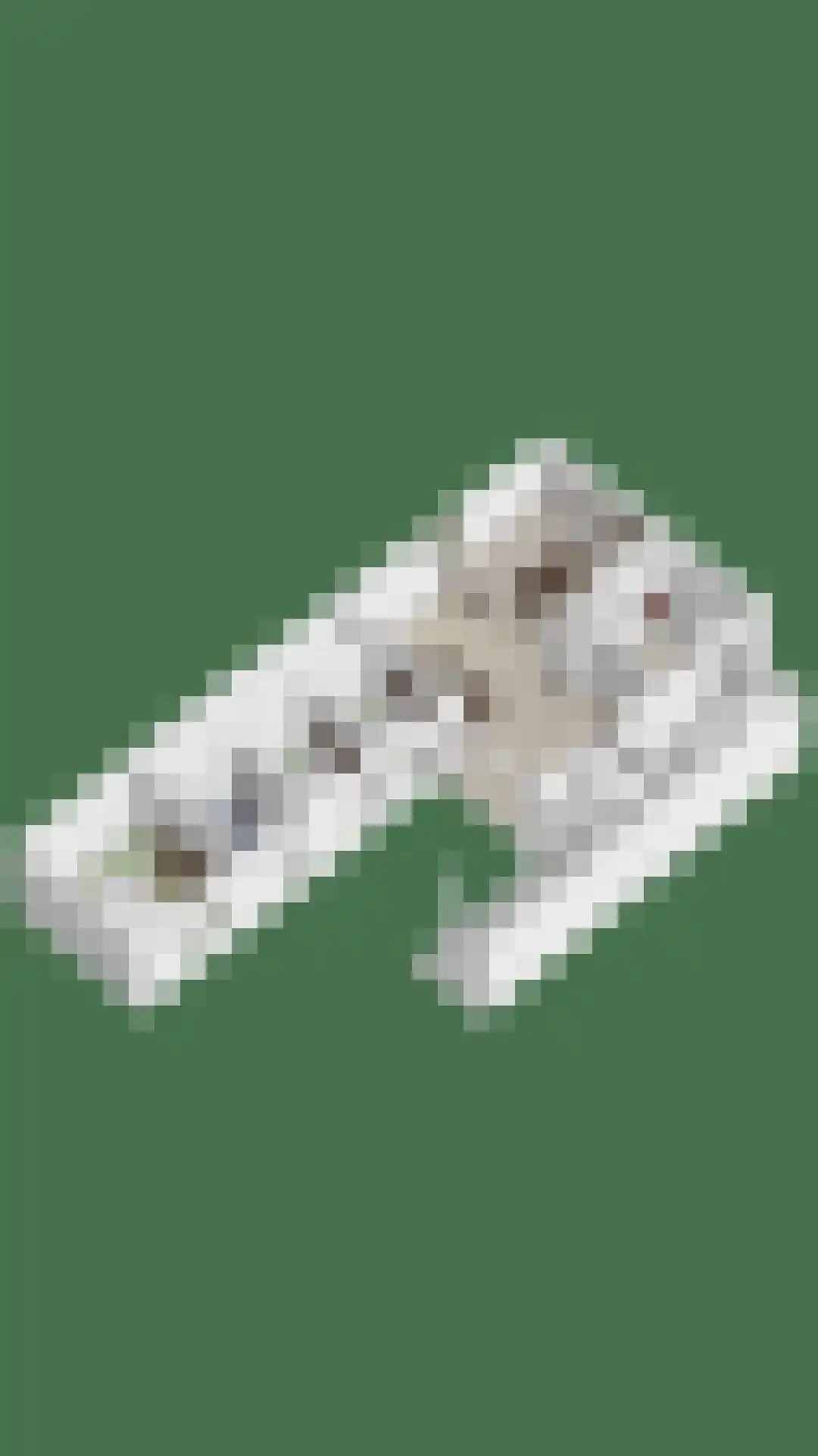 Roggeveenhof 6 Eindhoven thumbnail 37