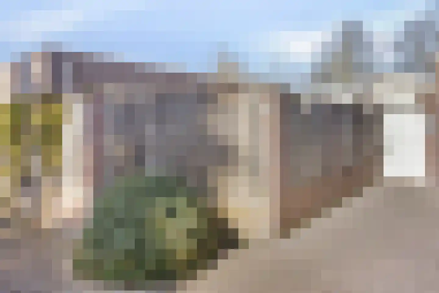 Roggeveenhof 6 Eindhoven thumbnail 9