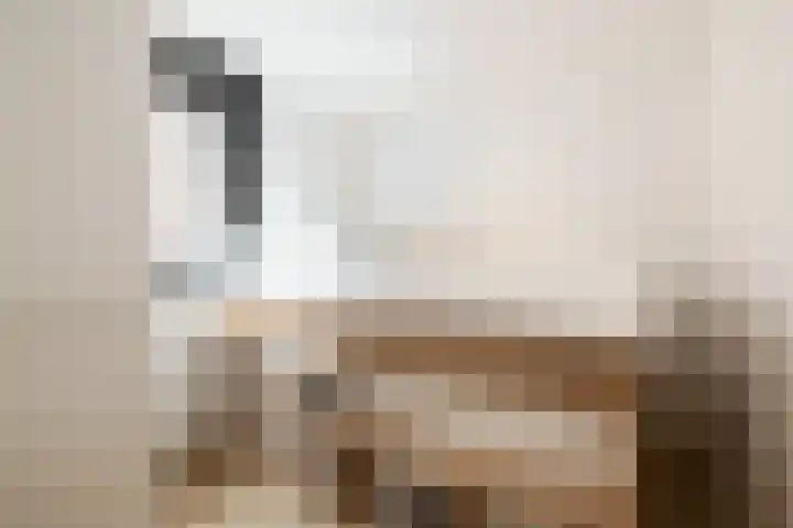Roggeveenstraat 109 Amsterdam thumbnail 7