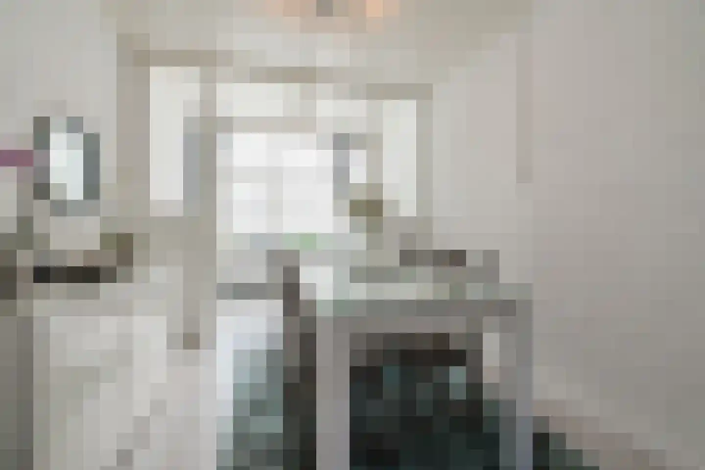 Roggeveenstraat 6 Veghel thumbnail 13