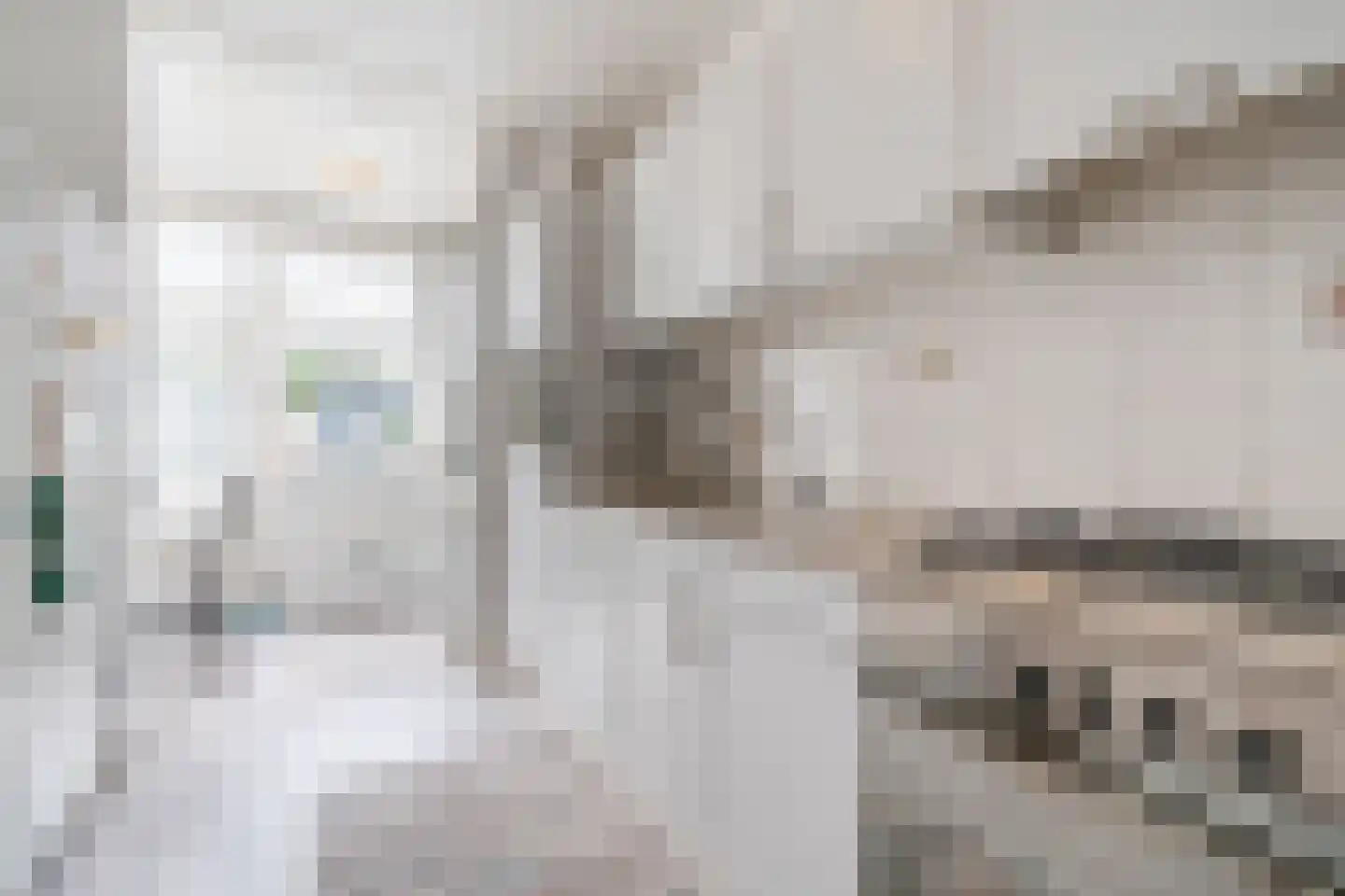 Roggeveenstraat 6 Veghel thumbnail 16